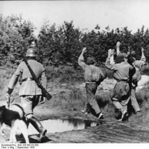 Einsatzgruppen: Jews And Partisans - Holocaust Denial On Trial